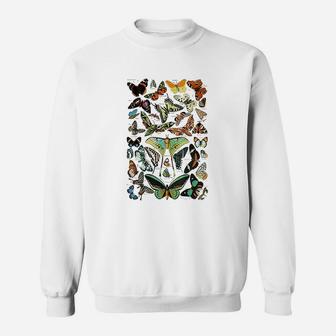 Vintage Butterflies Butterfly Collection Sweat Shirt - Seseable