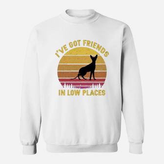 Vintage Cornish Rex I Have Got Friends In Low Places Cat Lovers Sweat Shirt - Seseable