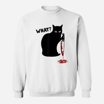 What Cat Holding Sweat Shirt - Seseable