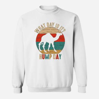 What Day Is It Camel Retro Funny Hump Day Sweat Shirt - Seseable