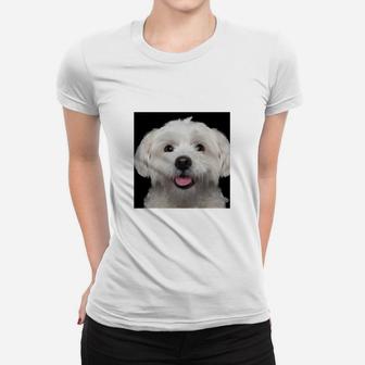 Fröhlicher Hund Malteser Motiv Frauen Tshirt, Weißes Lustiges Tee - Seseable