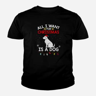 Funny Dog Christmas All I Want For Christmas Is A Dog Kid T-Shirt | Seseable CA