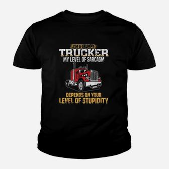 Im A Grumpy Trucker Funny Truck Driver Gifts Trucking Dads Kid T-Shirt - Seseable