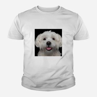 Fröhlicher Hund Malteser Motiv Kinder Tshirt, Weißes Lustiges Tee - Seseable