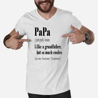 Definition Papa, best christmas gifts for dad Men V-Neck Tshirt - Seseable