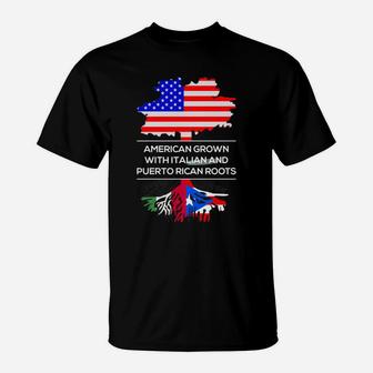 American Grown With Italian And Puerto Rican Roots T-shirt T-Shirt - Seseable