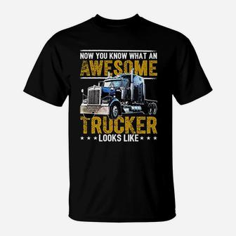 Awesome Trucker Big Rig Semi Trailer Truck Driver Gift T-Shirt - Seseable
