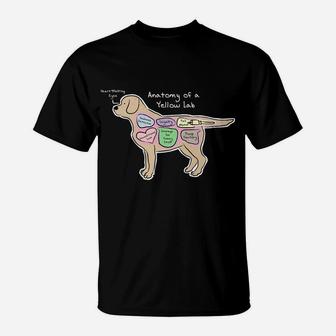 Funny Labrador Dog Anatomy Of A Yellow Lab T-Shirt - Seseable