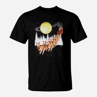 Golden Retriever Reindeer Christmas T-Shirt - Seseable