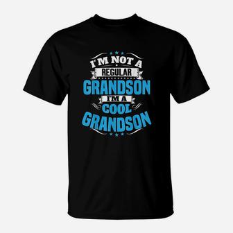 Im Not A Regular Grandson Im A Cool Grandson T-Shirt - Seseable