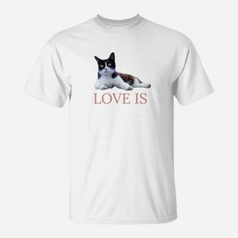 Ca Women Men Kids Kitten Cat Mom Dad Love Gift Premium T-Shirt - Seseable