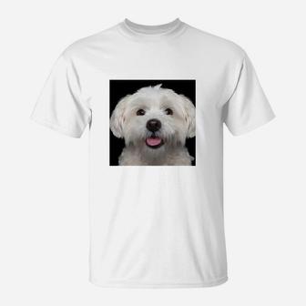 Fröhlicher Hund Malteser Motiv T-Shirt, Weißes Lustiges Tee - Seseable