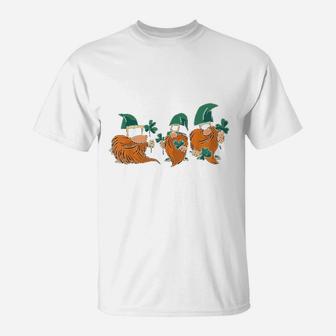Gnome St Patrick Day Irish Green Saint Patrick Lucky Gift T-Shirt - Seseable