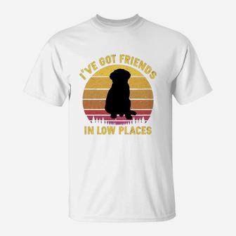 Vintage Bernese Mountain I Have Got Friends In Low Places Dog Lovers T-Shirt - Seseable