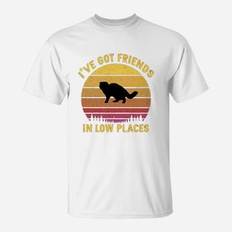Vintage Exotic Shorthair I Have Got Friends In Low Places Cat Lovers T-Shirt - Seseable