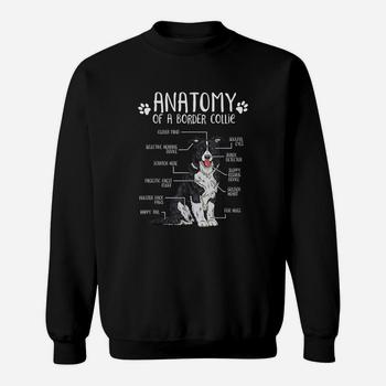 Funny Anatomy Border Collie Dog Lover Gift T-Shirt Funny Anatomy Border Collie Dog Lover Gift T-Shirt
