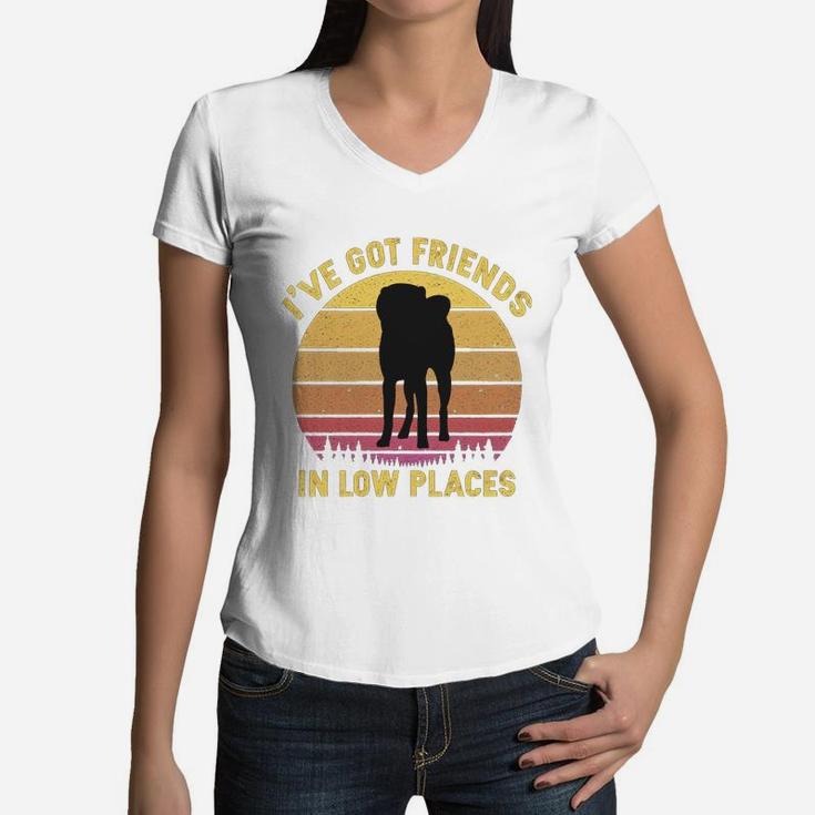 Vintage Akita Inu I Have Got Friends In Low Places Dog Lovers Women V-Neck T-Shirt