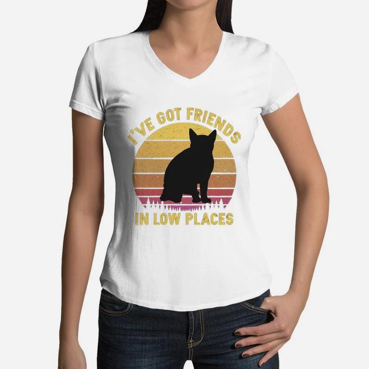 Vintage American Wirehair I Have Got Friends In Low Places Cat Lovers Women V-Neck T-Shirt