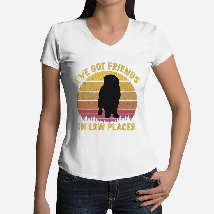 Vintage Newfoundland I Have Got Friends In Low Places Dog Lovers Women V-Neck T-Shirt