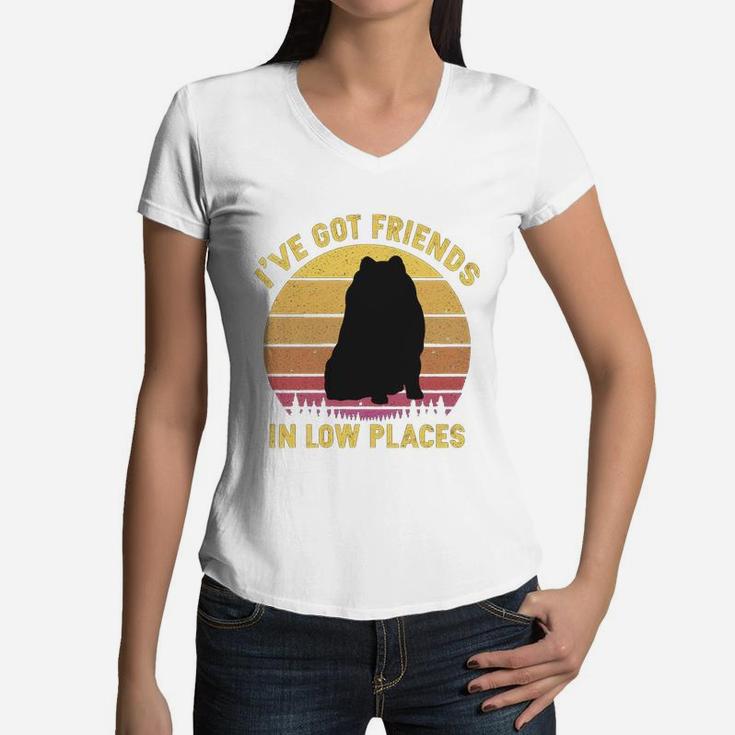 Vintage Pomeranian I Have Got Friends In Low Places Dog Lovers Women V-Neck T-Shirt