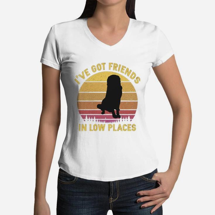 Vintage Saint Bernard I Have Got Friends In Low Places Dog Lovers Women V-Neck T-Shirt