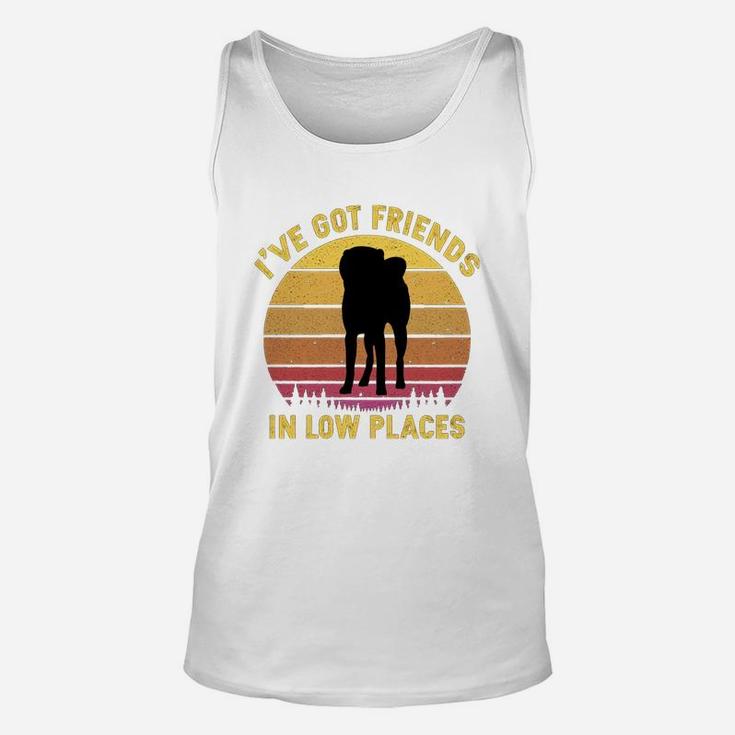 Vintage Akita Inu I Have Got Friends In Low Places Dog Lovers Unisex Tank Top