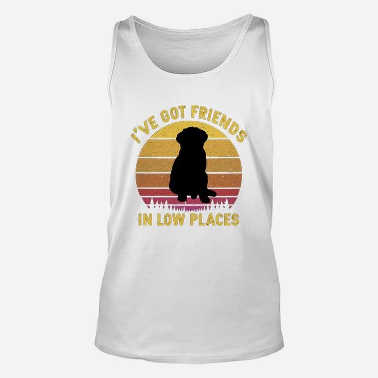 Vintage Bernese Mountain I Have Got Friends In Low Places Dog Lovers Unisex Tank Top