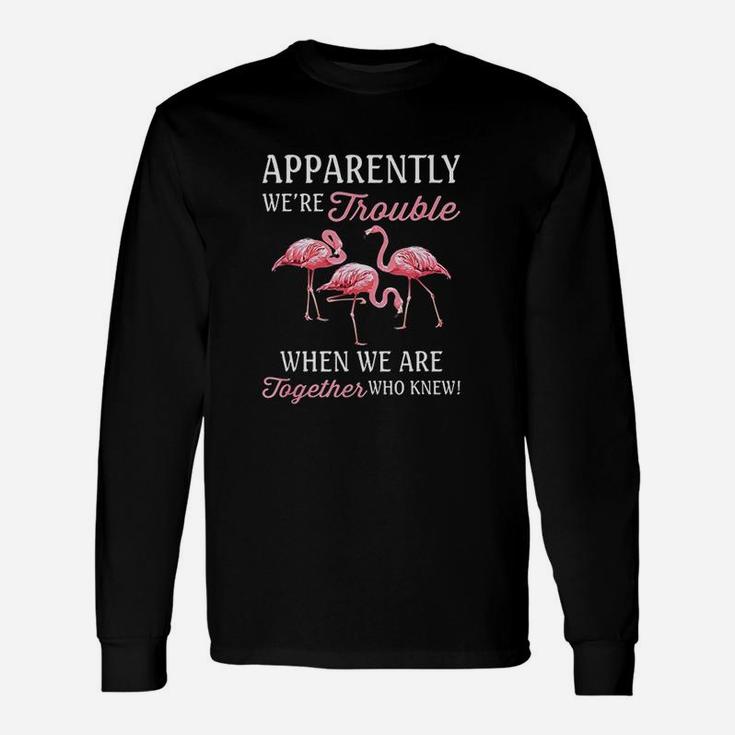 Apparently We Are Trouble When We Are Together Who Knew Long Sleeve T-Shirt