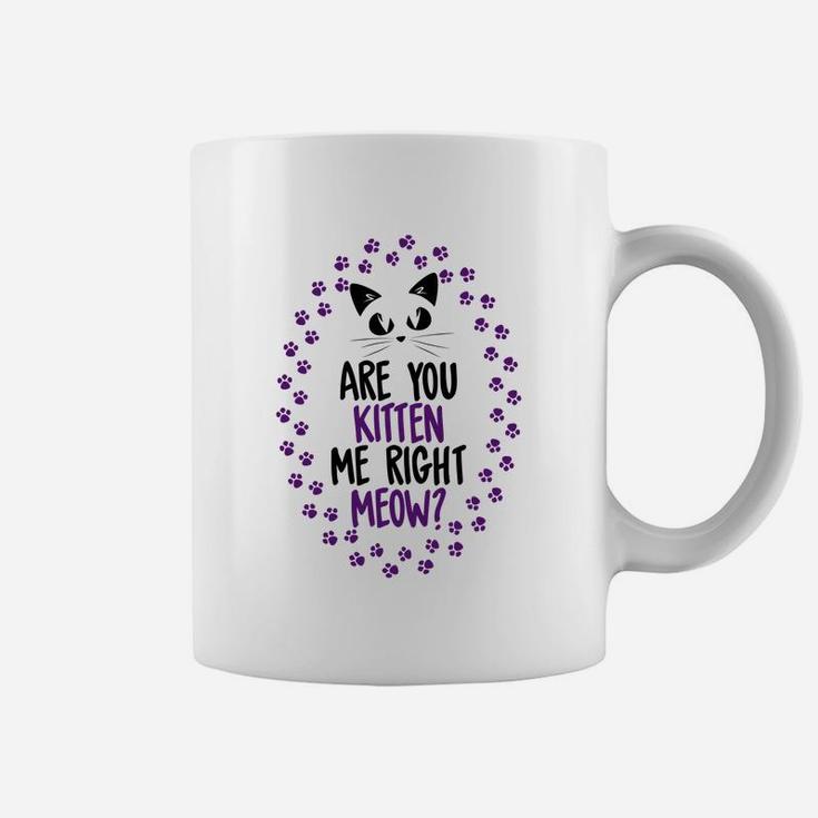 Funny Are You Kitten Me Meow Cat Lover Perfect Gift Coffee Mug