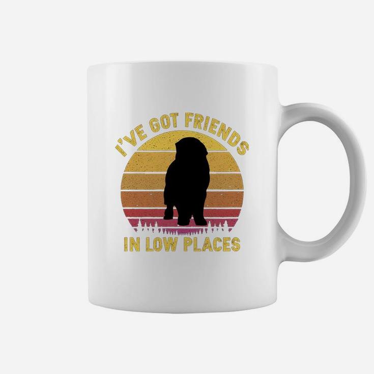 Vintage Newfoundland I Have Got Friends In Low Places Dog Lovers Coffee Mug