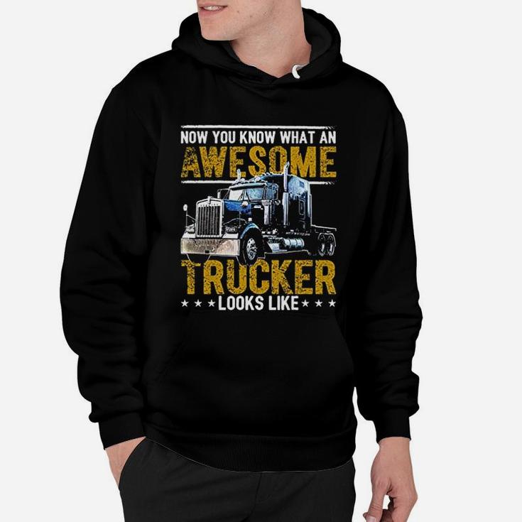 Awesome Trucker Big Rig Sem Trailer Truck Driver Hoodie