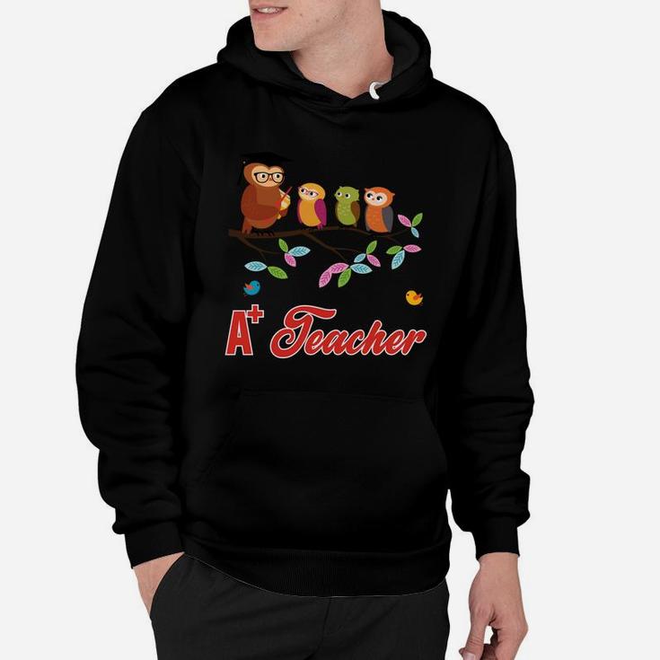 Funny A Teacher Of Cute Owls Hoodie