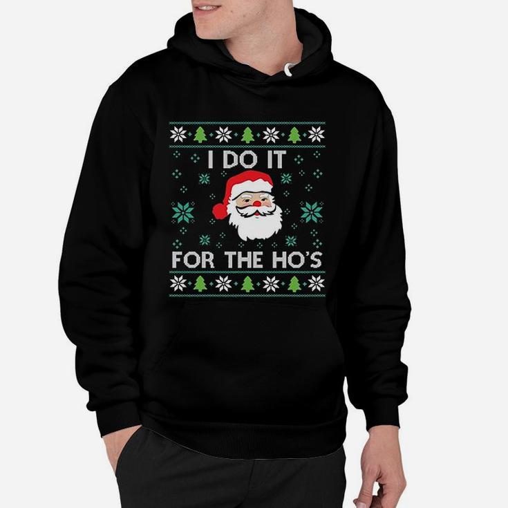 Funny Christmas Xmas Inappropriate Santa I Do It For The Hos Hoodie