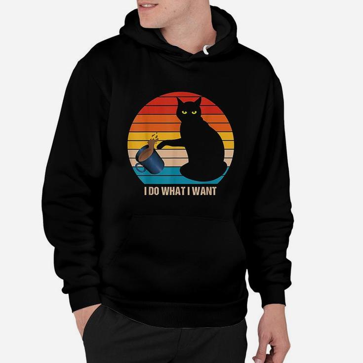 Funny Retro Vintage Cat Do What I Want Cat Lover Cat Mom Hoodie