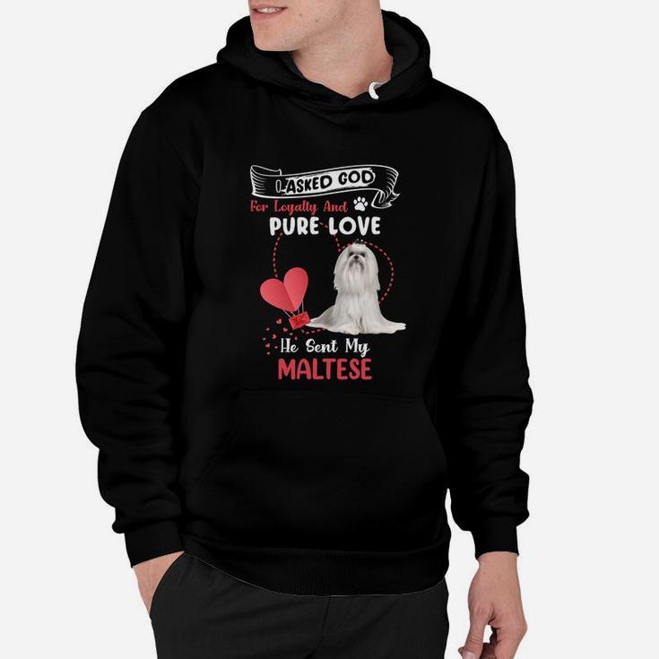 I Asked God For Loyalty And Pure Love He Sent My Maltese Funny Dog Lovers Hoodie