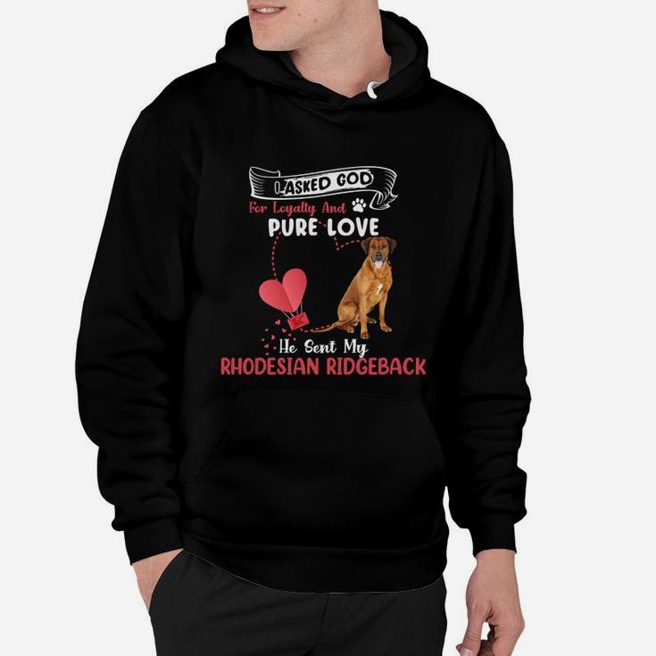 I Asked God For Loyalty And Pure Love He Sent My Rhodesian Ridgeback Funny Dog Lovers Hoodie