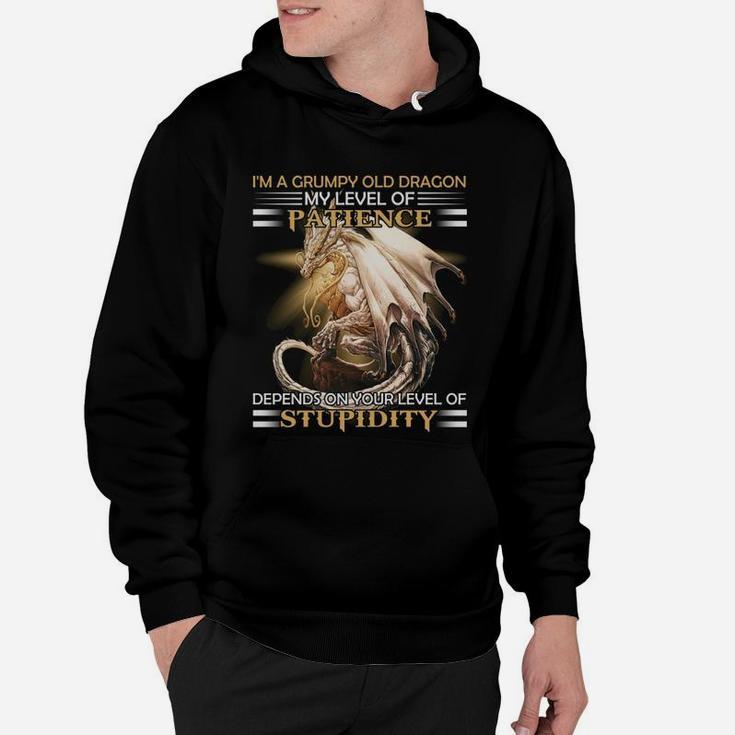Im A Grumpy Old Dragon My Level Of Patience Depends On Your Level Of Stupidity Hoodie