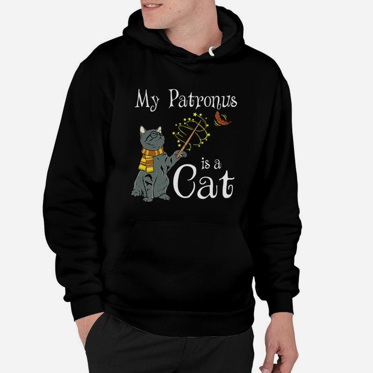 My Patronus Is A Cat Funny Gifts Hoodie