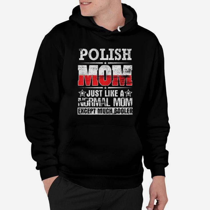 Polish Dad Just Like A Normal Dad Except Much Cooler Shirt Hoodie
