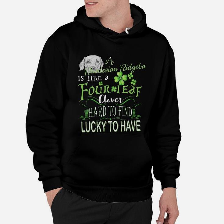 St Patricks Shamrock A Rhodesian Ridgeback Is Like A Four Leaf Clever Hard To Find Lucky To Have Dog Lovers Gift Hoodie