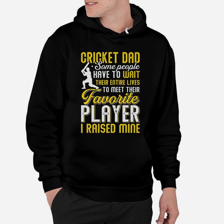 Vintage Cricket Dad, My Favorite Cricket Player Calls Me Son Funny Hoodie