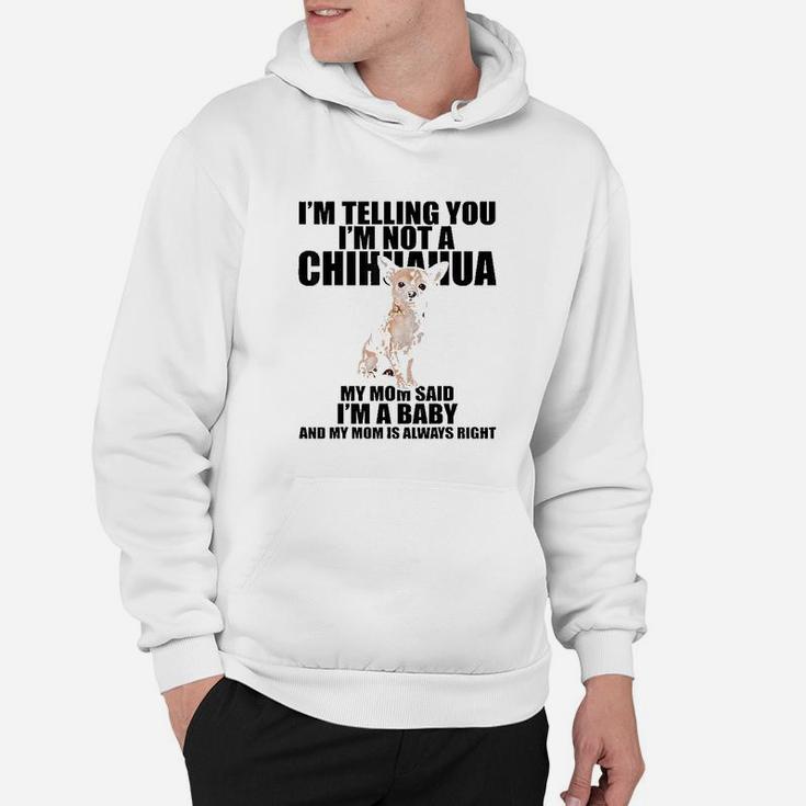 Chihuahua Dog Im Telling You Im Not A Chihuahua Hoodie