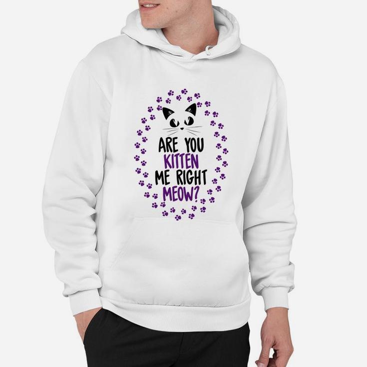 Funny Are You Kitten Me Meow Cat Lover Perfect Gift Hoodie