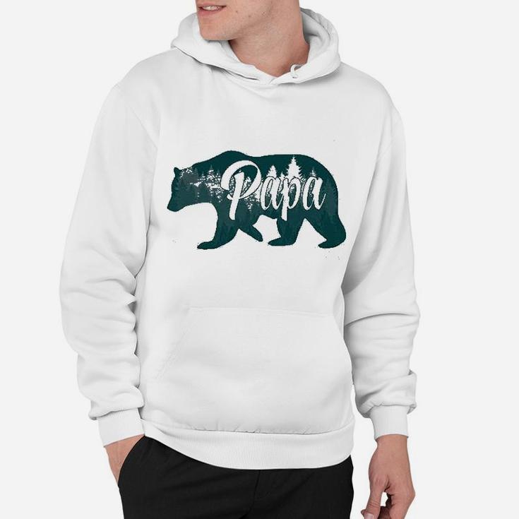 Papa Bear Funny Design For Dads Gift Idea Hoodie