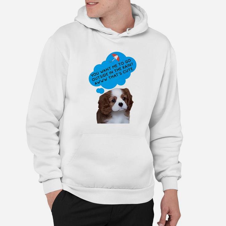 Teddy Bear Dog You Want Me To Go Outside In The Rain Hoodie