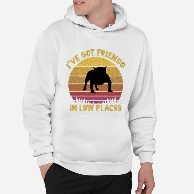 Vintage American Bully I Have Got Friends In Low Places Dog Lovers Hoodie