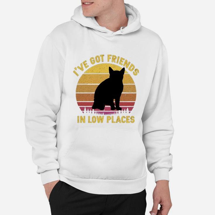 Vintage American Wirehair I Have Got Friends In Low Places Cat Lovers Hoodie