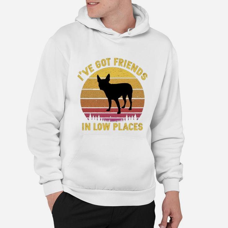 Vintage Boston Terrier I Have Got Friends In Low Places Dog Lovers Hoodie