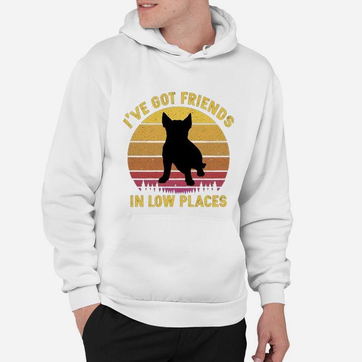 Vintage Bull Terrier I Have Got Friends In Low Places Dog Lovers Hoodie