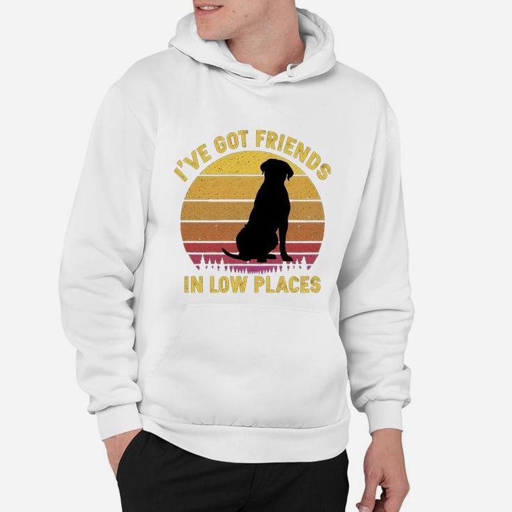 Vintage Cane Corso I Have Got Friends In Low Places Dog Lovers Hoodie